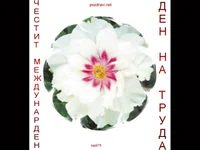 Ден на труда