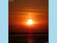 Джулай морнинг