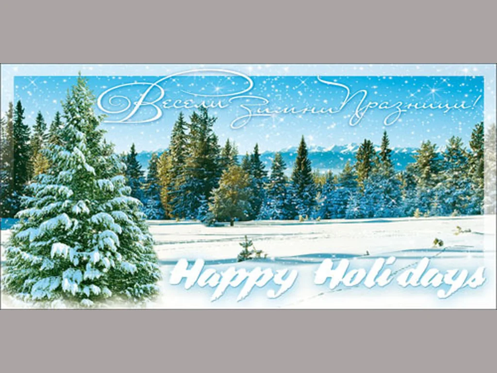 Нова Година - традиционни 23