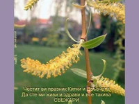 Цветница върбено клонче , поздрави за всички православни!