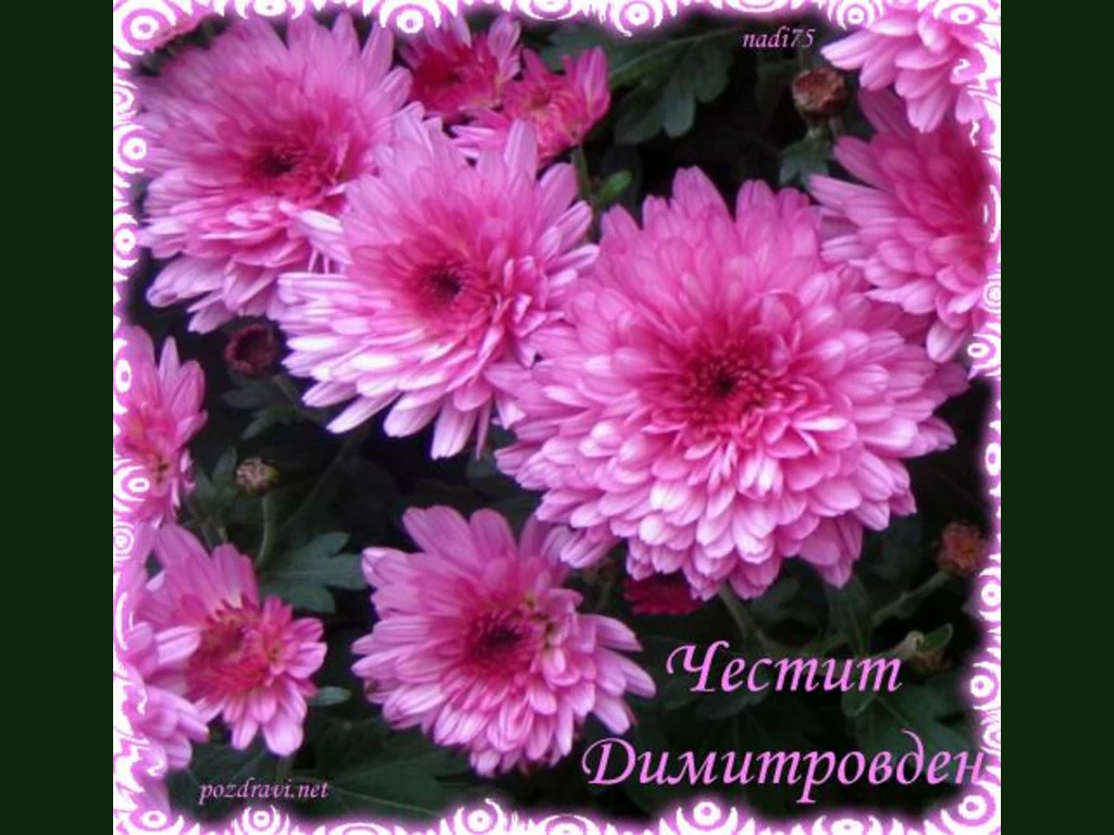 Честит Димитровден