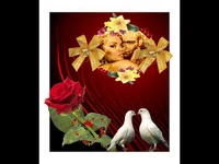 Неостаряваща нежна любов! Два Гълъба!