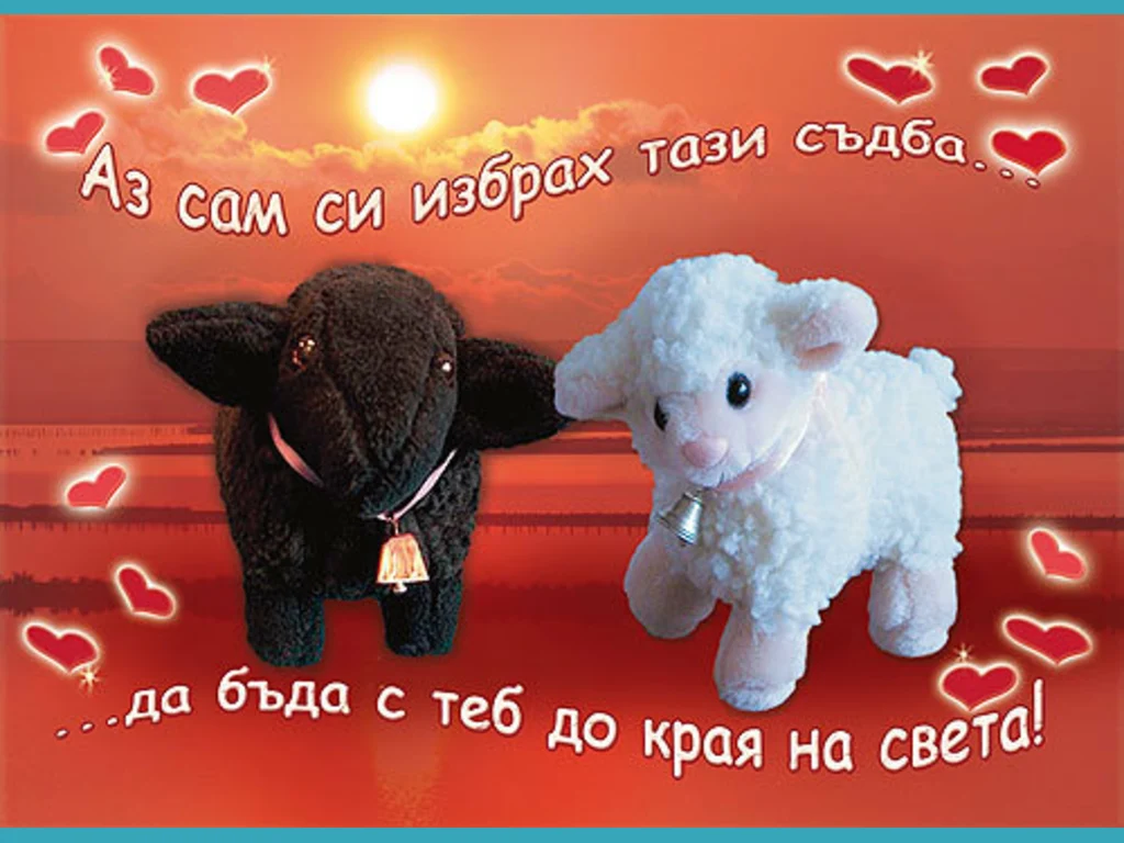 Аз сам си избрах тази съдба... да бъда с теб докрая на света