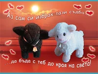 Аз сам си избрах тази съдба... да бъда с теб докрая на света