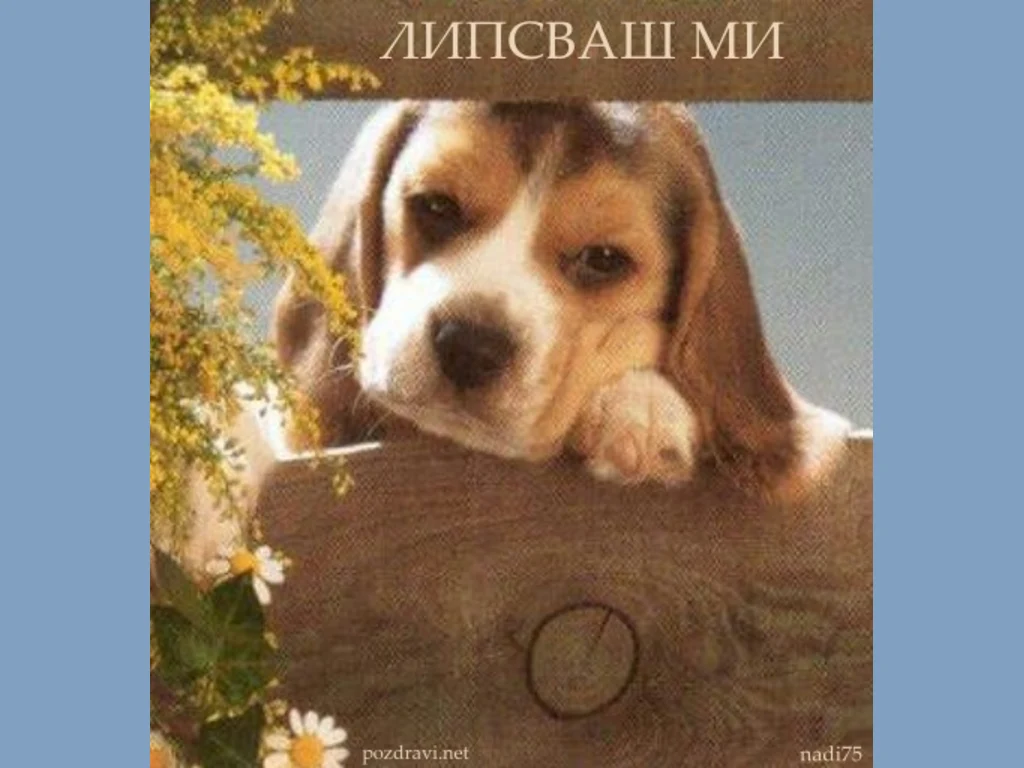 Липсваш ми ...