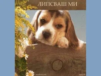 Липсваш ми ...