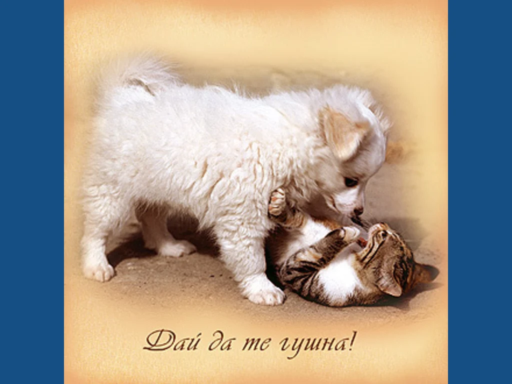 Дай да те гушна