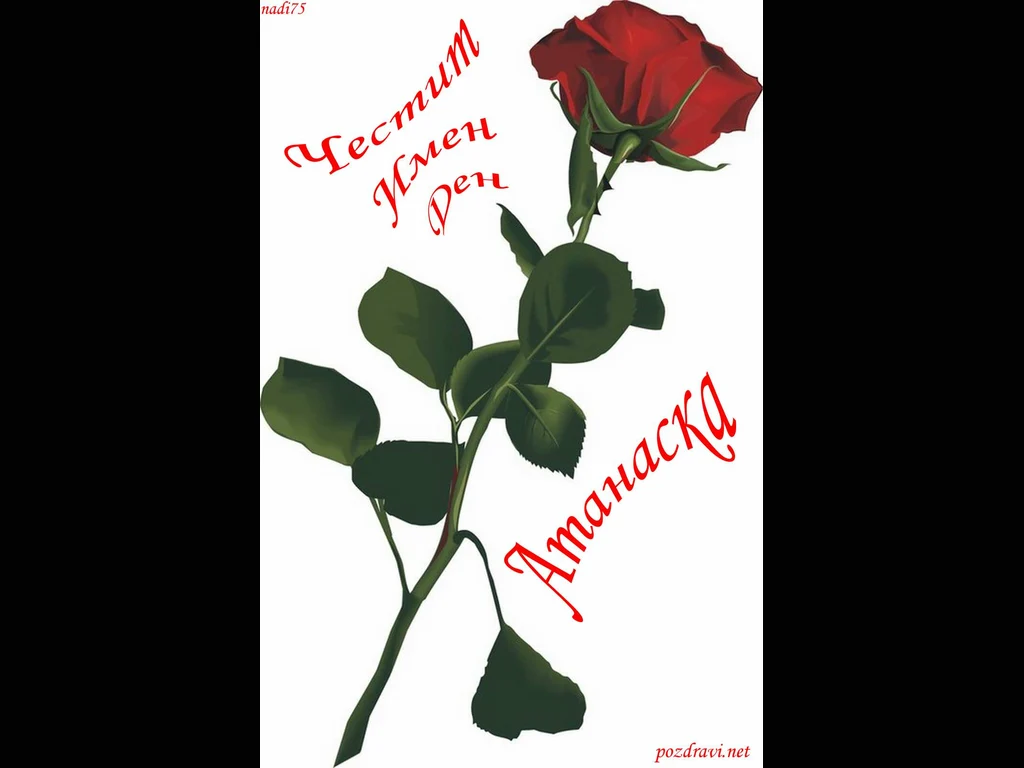 Честит Имен Ден Атанаска !!!