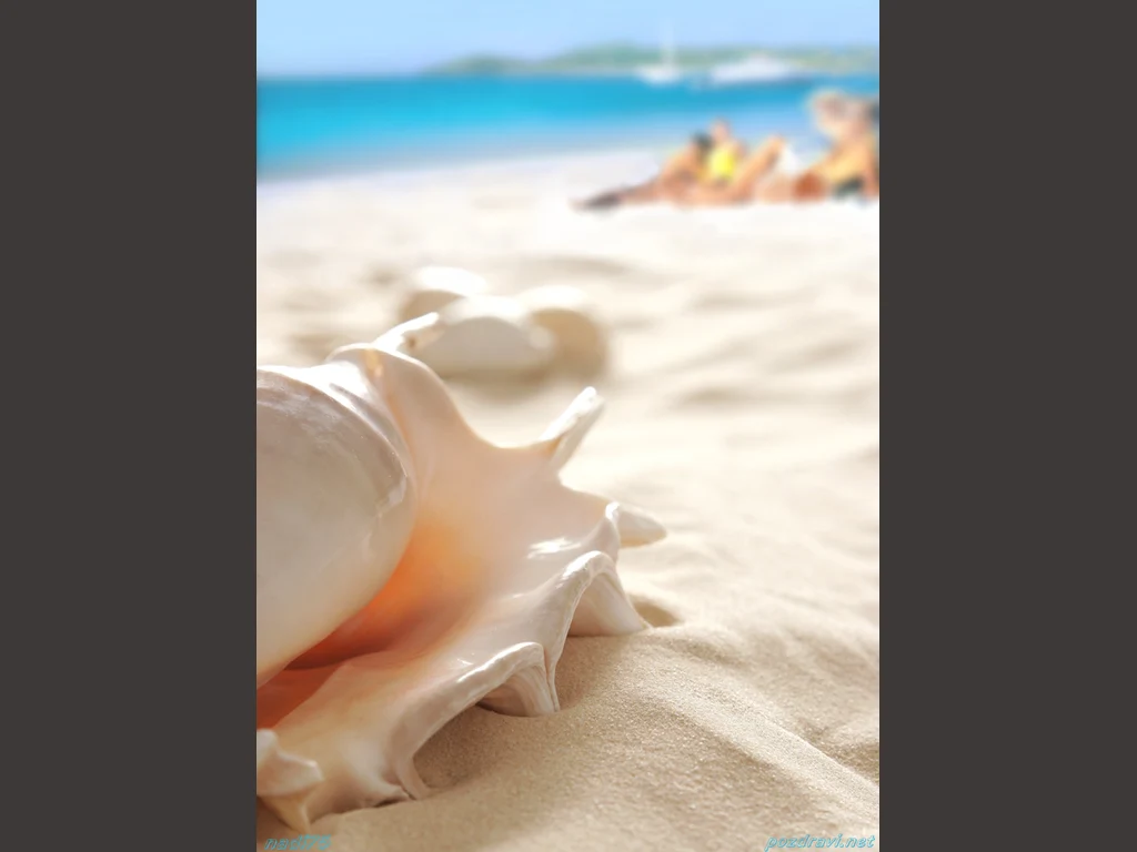 shutt1erstock 11847880