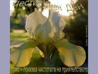 Поздрав за Ирис!